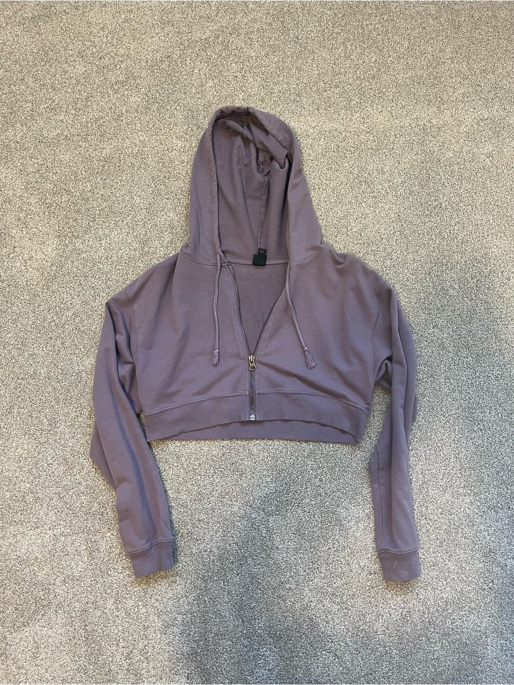 wild fable Cropped Lavender Zip Hoodie